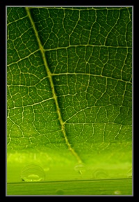 Abstract Photos For Sale 36