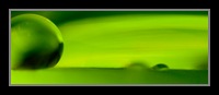 Abstract Photos For Sale 42