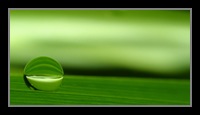 Abstract Photos For Sale 45